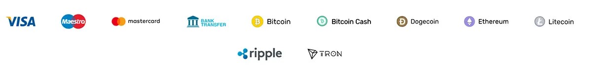 Payment methods icons: Visa, Maestro, Mastercard, bank transfer, Bitcoin, Bitcoin Cash, Dogecoin, Ethereum, Litecoin, Ripple and Tron.